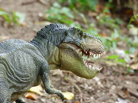 У некоторых динозавров были молочные зубы