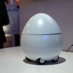 Настольный робот, показанный Panasonic на CES 2017, похож на птицу