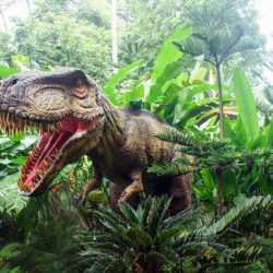 В Австралии обнаружены самые разнообразные в истории следы динозавров