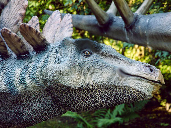 Палеонтологи впервые обнаружили эрогенные зоны у динозавров