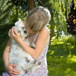 Домашние животные защищают детей от ожирения и аллергии
