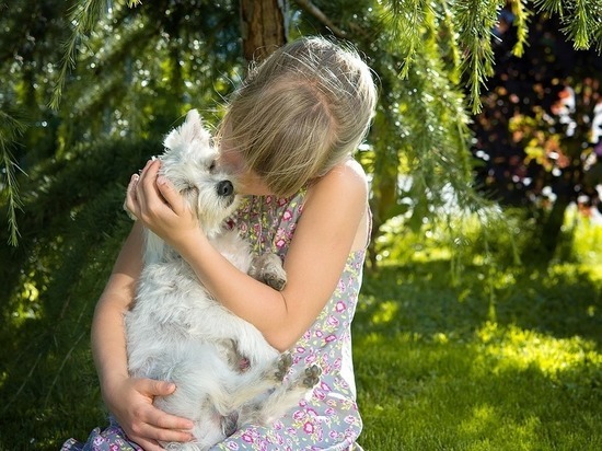 Домашние животные защищают детей от ожирения и аллергии
