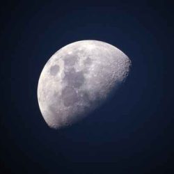 Уфологи обнаружили череп животного на Луне