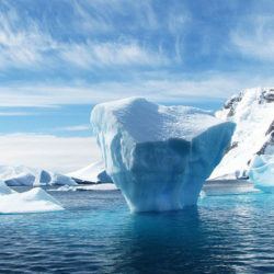 Потоки талой воды, обнаруженные в Антарктиде, обеспокоили климатологов