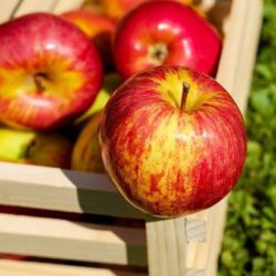 Диетологи: свежие яблоки спасают от диабета и болезней сердца