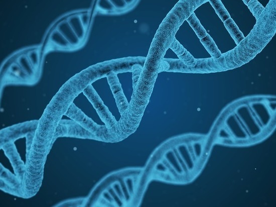 Новое в истории происхождения человека: ядерная ДНК "расскажет" кто мы