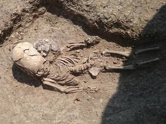 Вытянутый череп красивее: археологи рассказали о найденном под Керчью «инопланетянине»