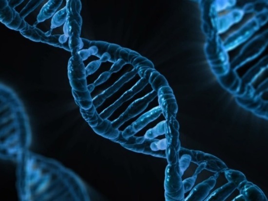 В США впервые отредактировали геном человеческого эмбриона