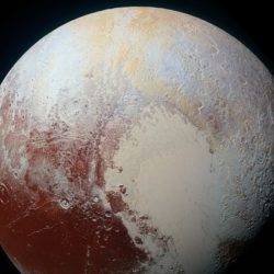 СМИ: NASA прокомментировало новости о гигантских улитках на Плутоне