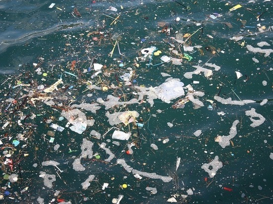 Биологи нашли существ, разносящих пластик по всему океану