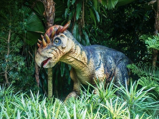 Палеонтологи: мадагаскарских динозавров погубили ядовитые водоросли