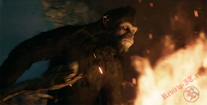 В игре по фильму «Планета обезьян» будет реализован мультиплеер