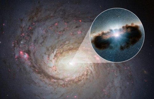 Радиотелескоп ALMA пролил свет на тонкости процессов влияния активных ядер на окружающие их галактики