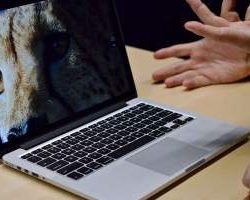 Apple будет бесплатно чинить клавиатуры новых MacBook