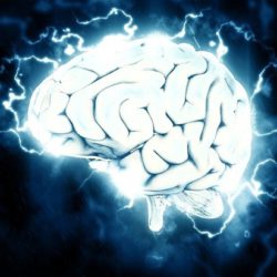 Ученые успешно «перепрограммировали» мозг