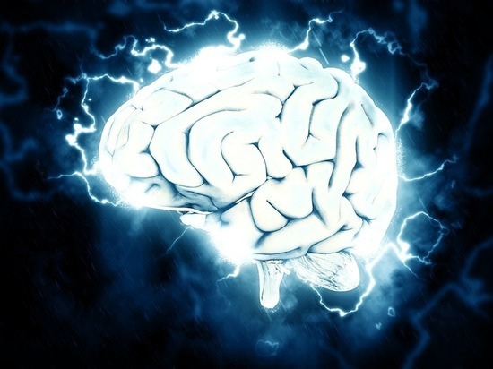 Ученые успешно «перепрограммировали» мозг
