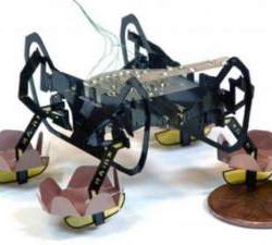 Робот-"насекомое" научился двигаться под водой