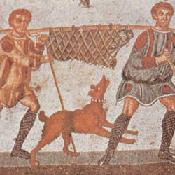 Археологи Крыма обнаружили, что древние греки ели собак