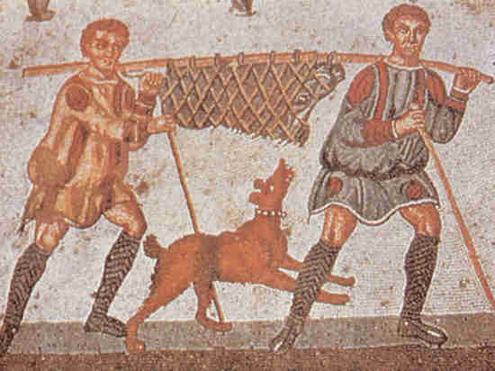 Археологи Крыма обнаружили, что древние греки ели собак