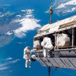 Землянам угрожают неуязвимые бактерии-мутанты из космоса