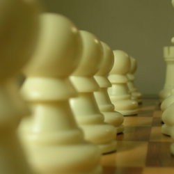 День шахмат: мир отмечает праздник хобби, продлевающего жизнь