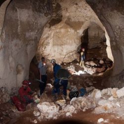 В Крыму нашли пещеру с мамонтами и испугались последствий