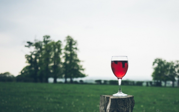 Разоблачение знатоков вин