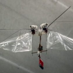 DelFly Nimble - летающий робот, максимально точно копирующий особенности полета одного из видов насекомых