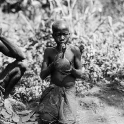 1931-1932. Африканская экспедиция Ханса Шомбургка. Северная Родезия