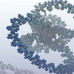 Создана первая биомолекулярная математическая модель, состоящая из миллиарда виртуальных атомов