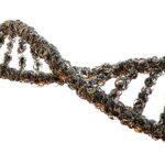 Геномное Редактирование: Новая Эра в Медицине и Биотехнологиях